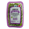 Organic Baby Arugula & Kale Blend - 312g